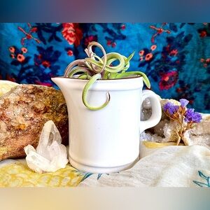 Vintage Japanese Stoneware Ceramic Creamer Minimalist White Pitcher w/ Brown Rim